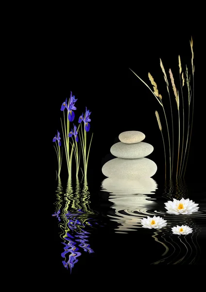 Zen Garden Fantasy — Stock Photo, Image