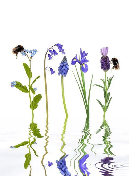 Bahar çiçekleri ve arılar — Stok fotoğraf