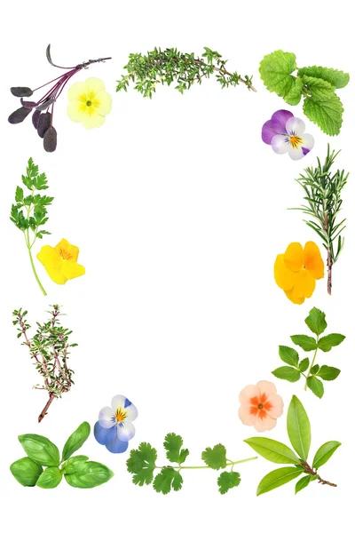 꽃과 허브 잎 테두리 — 스톡 사진