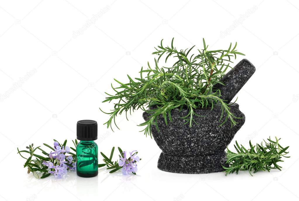 Rosemary Herb Essence and Flowers Stock Photo by ©marilyna 2081311