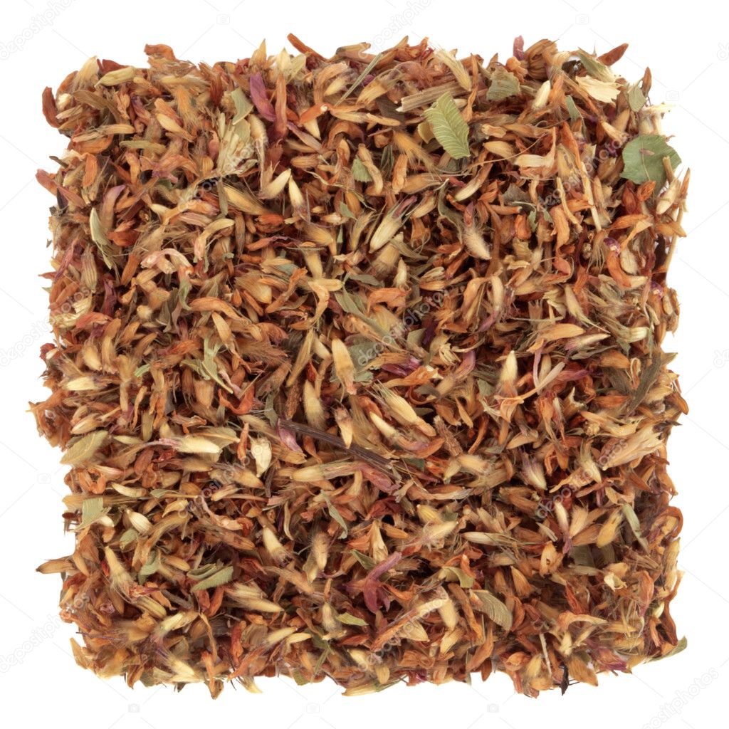 Red Clover Herb Stock Photo by ©marilyna 2575006