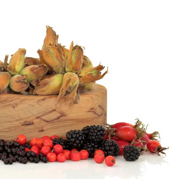 Divoké podzimní jídlo — Stock fotografie