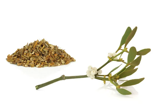 Mistletoe Dried and Leaf Sprig — Stock Photo, Image