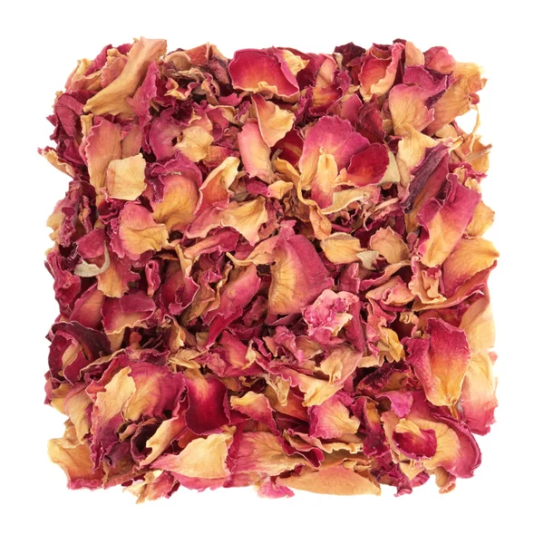 Roos bloemblad confetti — Stockfoto