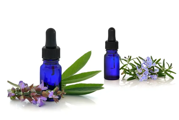 Rosemary and Comfrey Herb Therapy — Stock Photo, Image