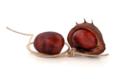 Conkers