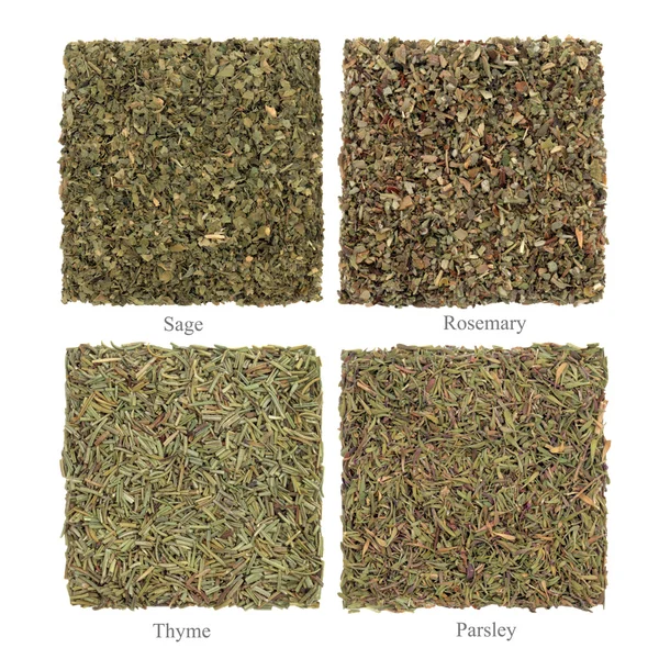 Parsley, Sage, Rosemary and Thyme Herbs — Stock Photo, Image
