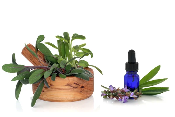 Hierba de Salvia y Aceite Esencial — Foto de Stock