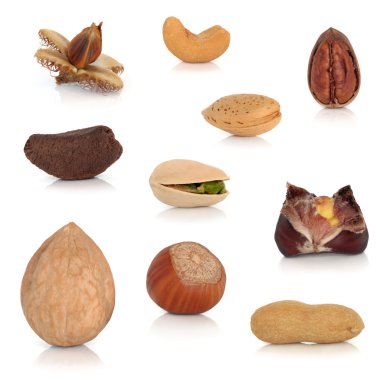 Nut Collection clipart