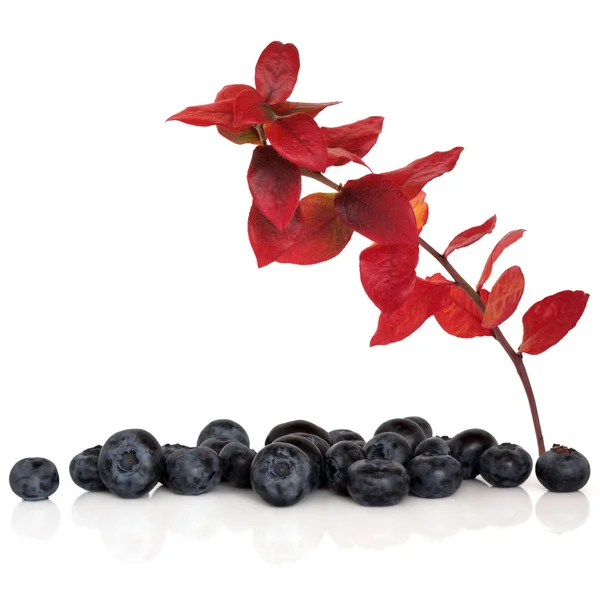 Blueberry fruit — Stock Photo, Image