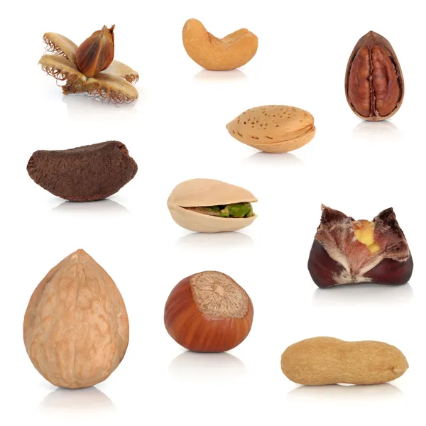 Nut Collection — Stock Photo, Image