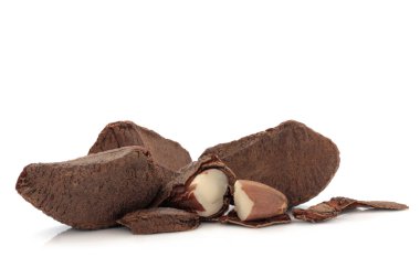 Brazil Nuts clipart