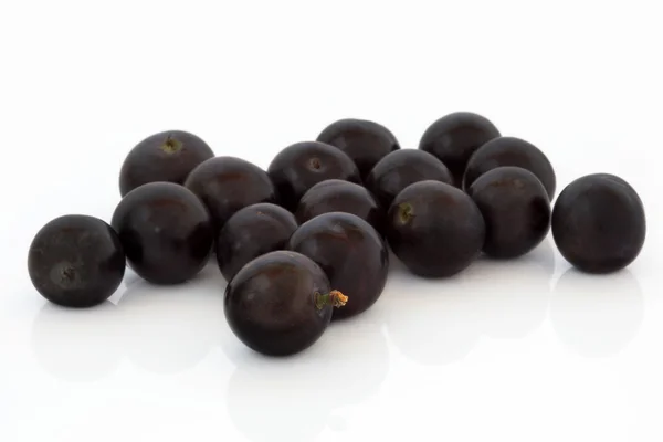 Плід blueberry — стокове фото