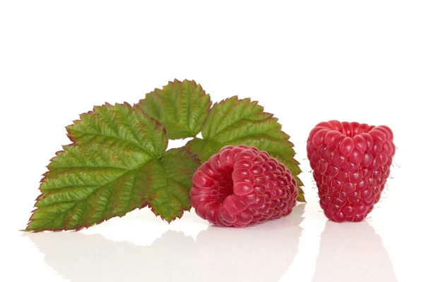 Raspberry vruchten — Stockfoto