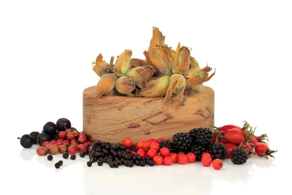 Divoký potravin podzimu — Stock fotografie