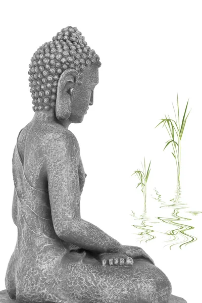 Buddha i fred — Stockfoto