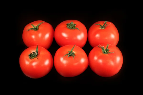 Tomates sur fond noir — Photo