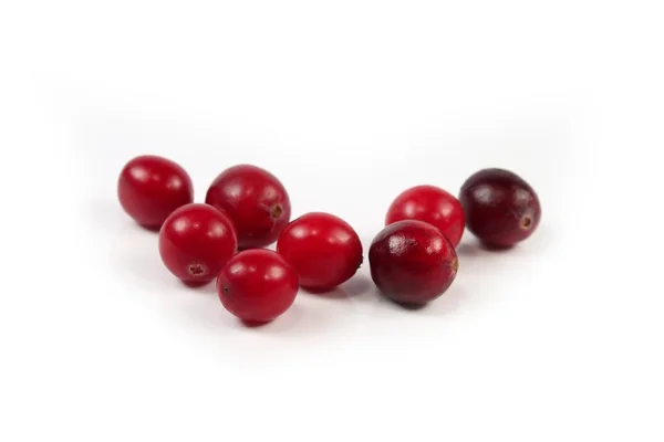 Red cranberry on white — Stock Photo, Image