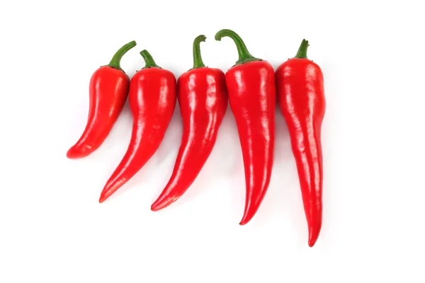Group of chilli peppers isolated — Stock Photo, Image