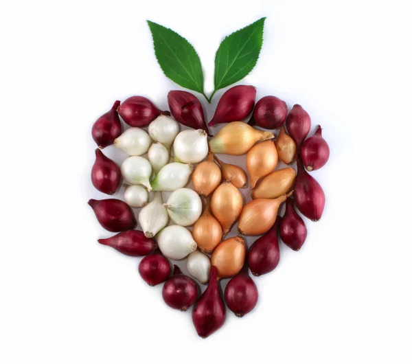 Zwiebeln Herz Zusammensetzung viele Farben — Stockfoto