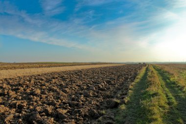 Ploughed land clipart