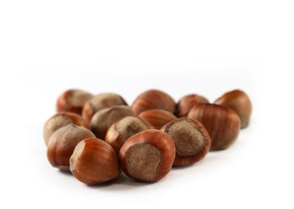Орехи Хейзел — стоковое фото
