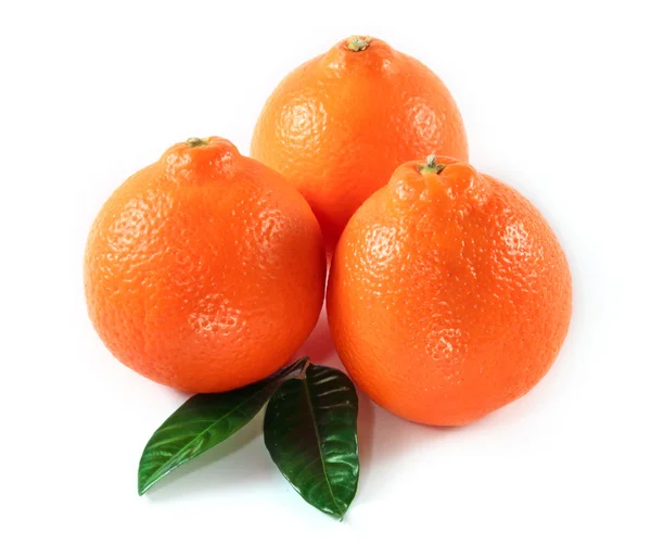 Orange isoleret - Stock-foto