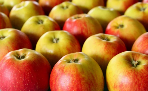Viele Äpfel — Stockfoto