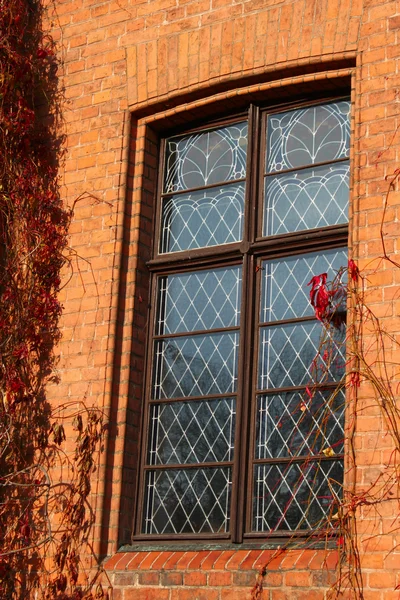 Fönstret på gamla väggen — Stockfoto