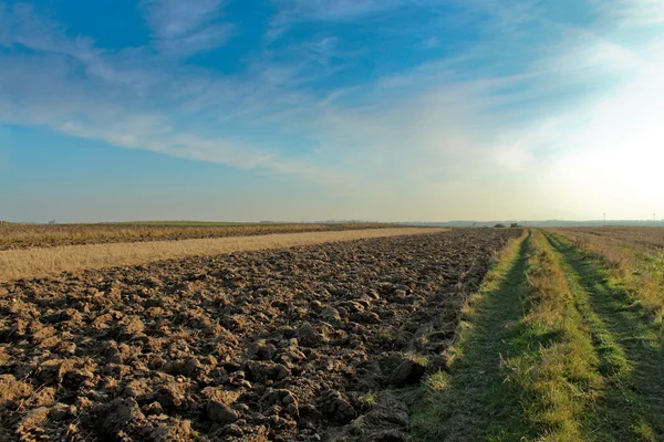 stock image Ploughed land