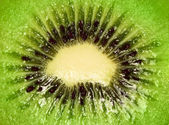 Kiwi fruit közelről
