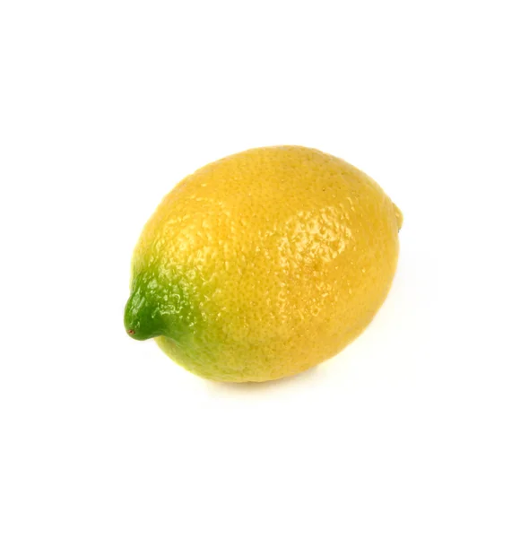 分離された 1 つのレモン — ストック写真