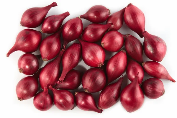 Viele rote Zwiebeln isoliert — Stockfoto