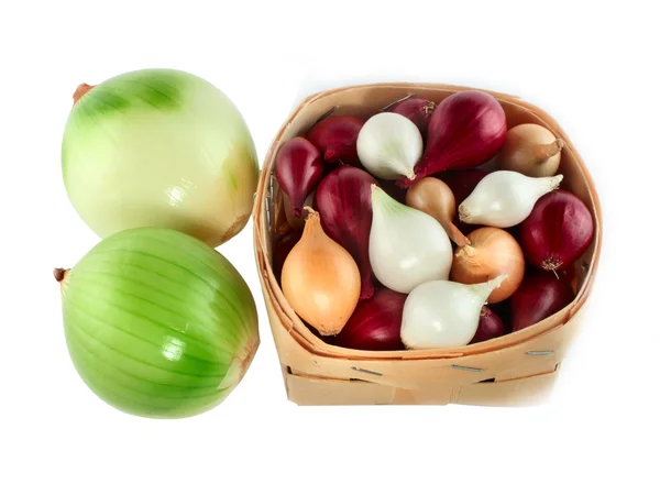 Cebollas verdes, blancas, rojas y amarillas —  Fotos de Stock