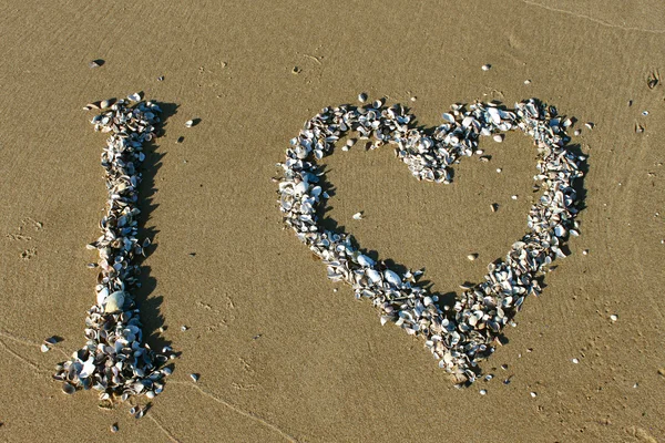 Shell srdce na pláži — Stock fotografie