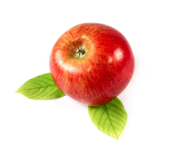 Omena eristetty — kuvapankkivalokuva