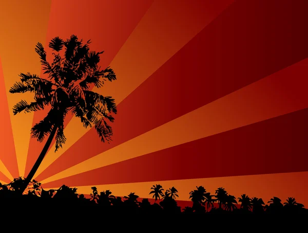 Tropische zonsondergang illustratie — Stockvector
