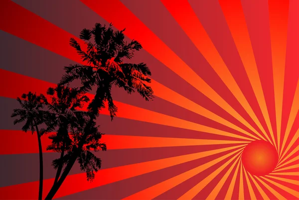 Tropische zonsondergang illustratie — Stockvector