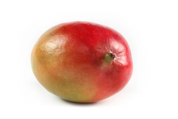 Mango izole edildi — Stok fotoğraf