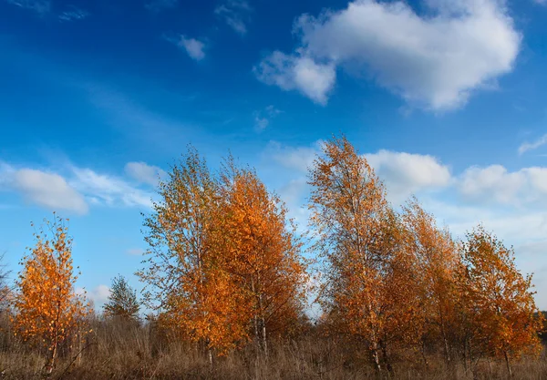 Podzim krajina — Stock fotografie
