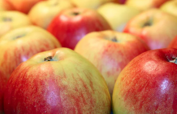 En hel del äpplen — Stockfoto