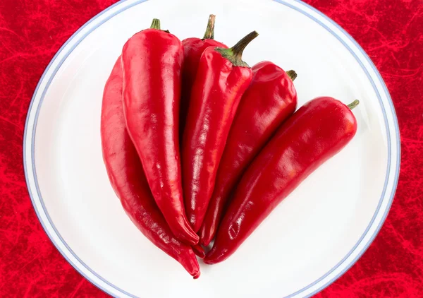 Rød hot chili peber isoleret - Stock-foto