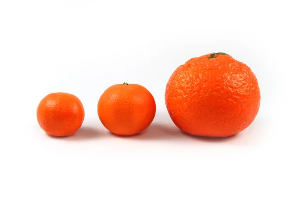 Three tangerines isolated — Stock Photo, Image