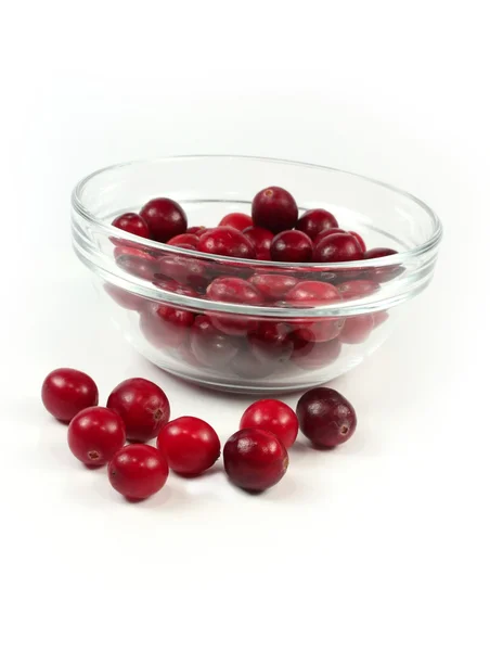 Cranberry vermelho em branco — Fotografia de Stock