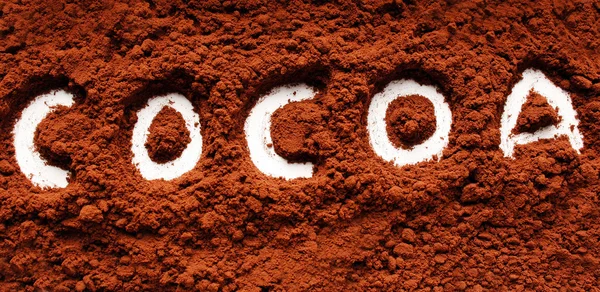 Cacao en polvo escrito — Foto de Stock