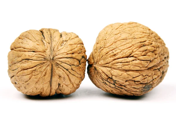 Two walnuts — Stock Photo, Image
