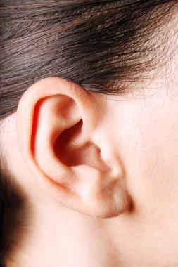 Human ear clipart