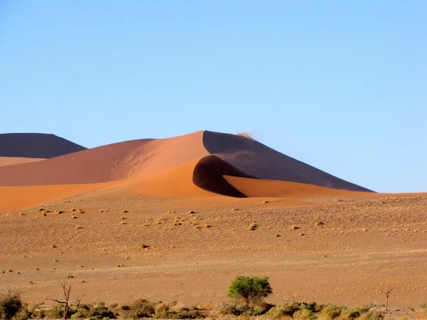 Dune Sea — Stock Photo, Image