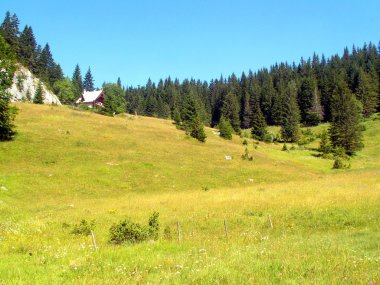 Durmitor Ulusal Parkı