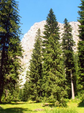 Durmitor Ulusal Parkı